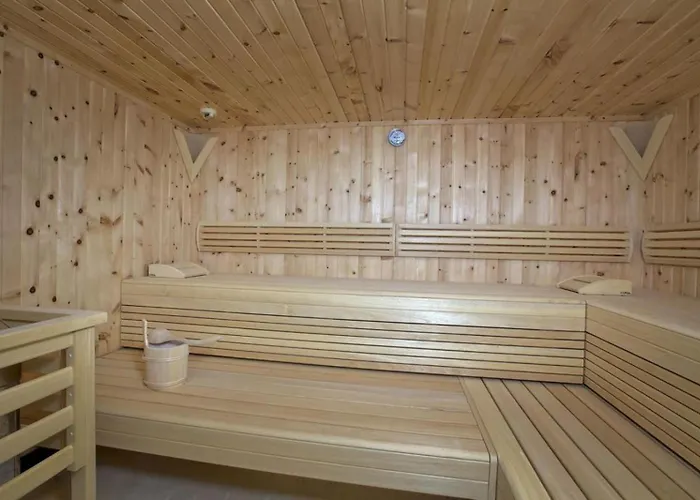 Appartement Residenz Wildkogelbahnen 15 *